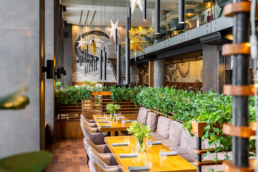 Сила четырёх стихий