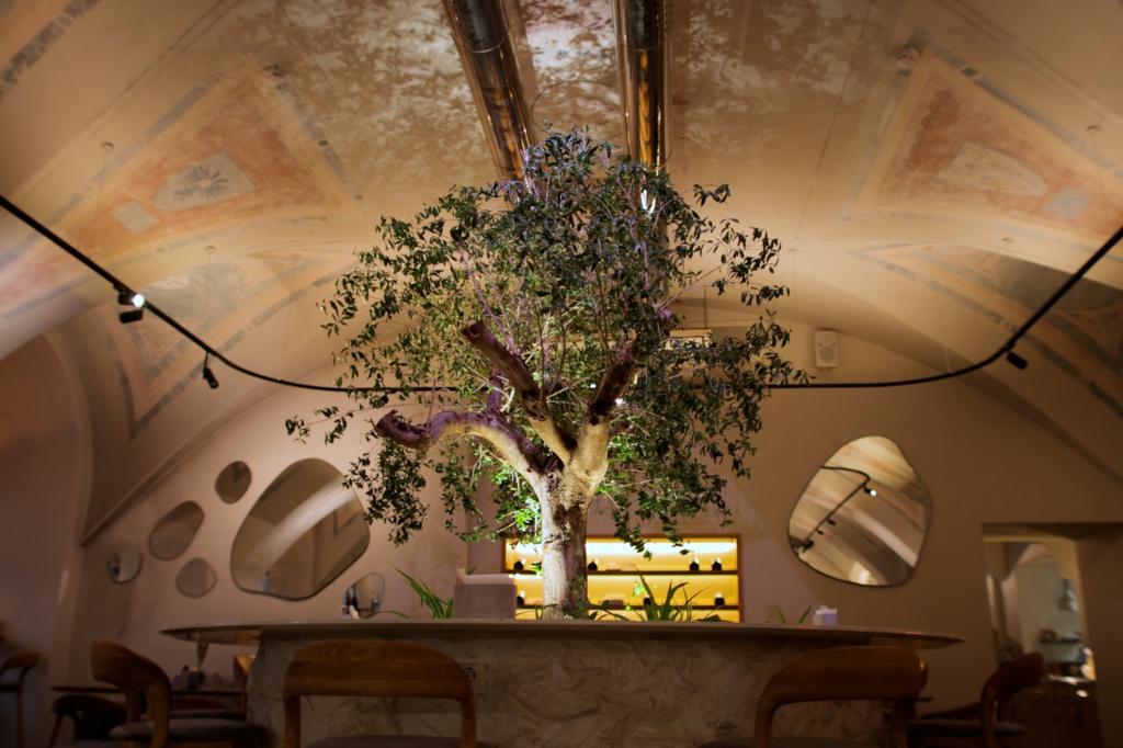 Новое сет-меню | CasaDelCaffe | б-р Конногвардейский, 4