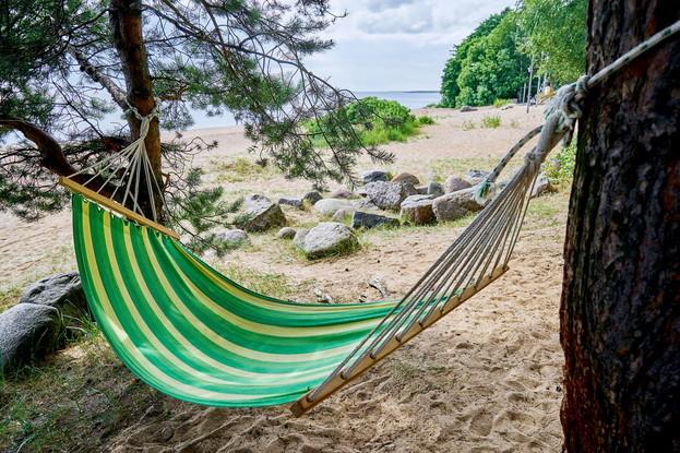 Поздравления для Татьян и студентов | Наша Dacha | ш. Приморское, 448