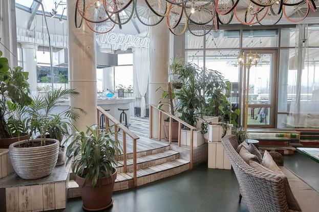 Похмельные щи и рюмка водки