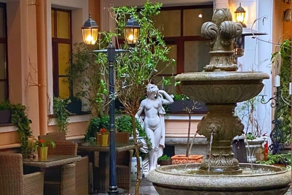 Жареные лисички с картофелем | Штакеншнейдер | ул. Миллионная, 10