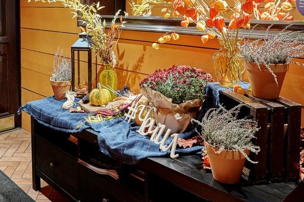 Школа сомелье с гастрономическим сопровождением