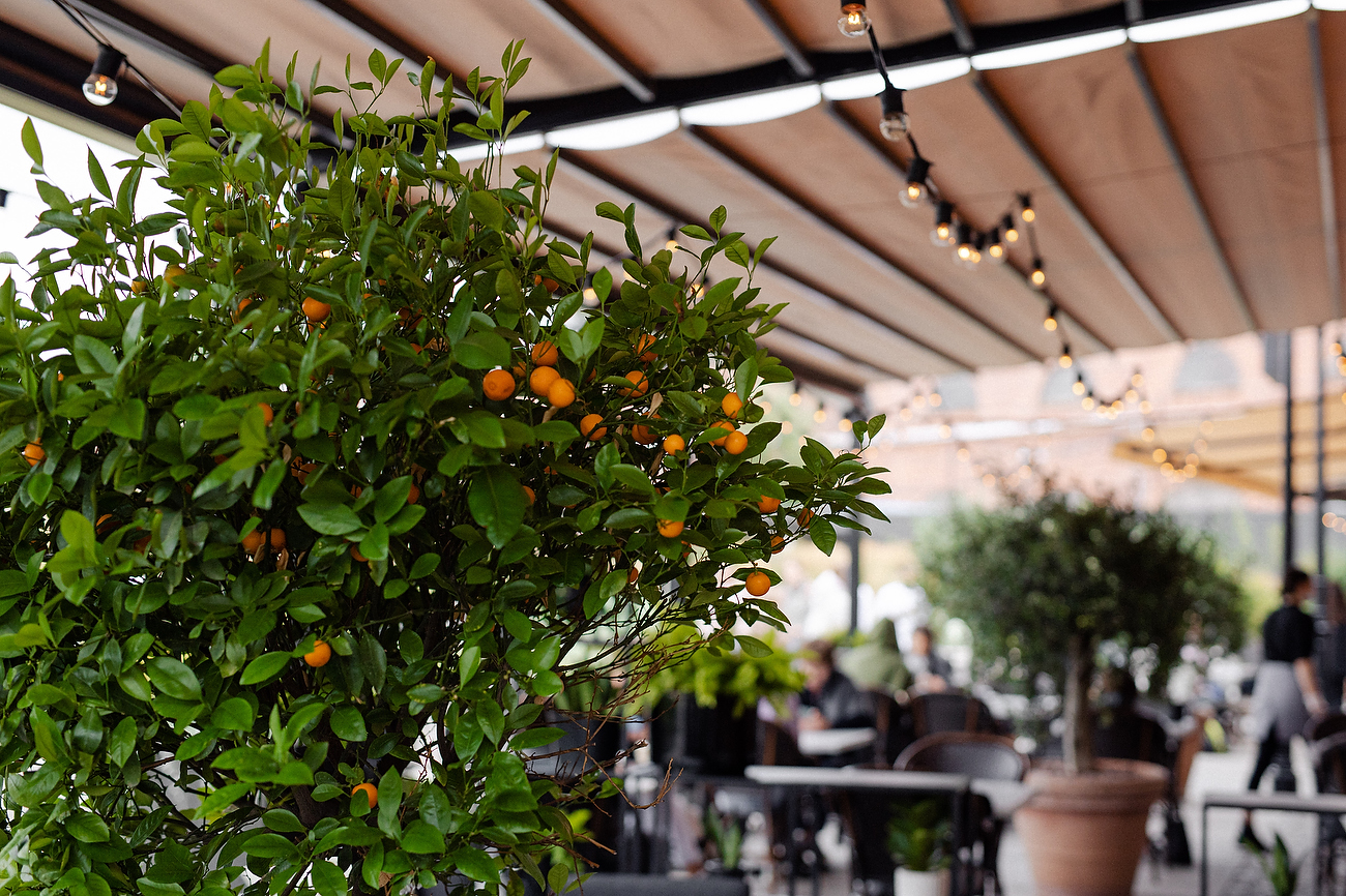 Держи краба! | Kuznyahouse | наб. Адмиралтейского канала, 2М