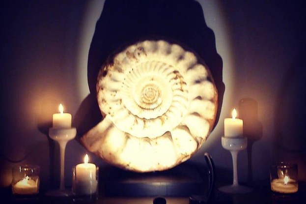 Интерьер бар Шотшоп