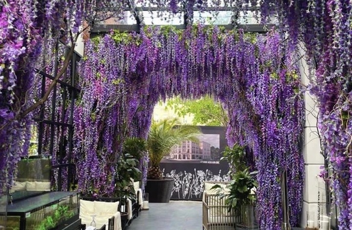 Ратафии, настойки и коктейли | Modus | пер. 1-й Тружеников, 6