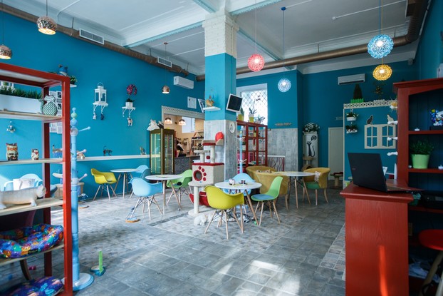 Интерьер кафе Kotomania Cats & Relax Club