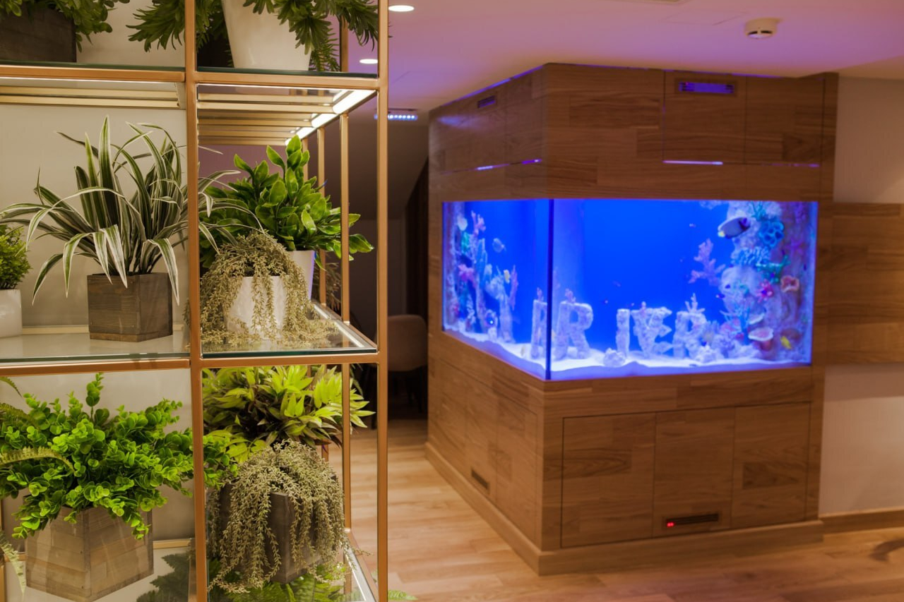 День влюбленных | River | пр-т Петровский, 5