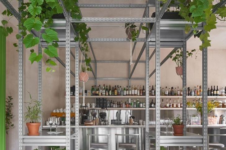 Закрутки, устрицы, шампань | Animals | ул. Некрасова, 60