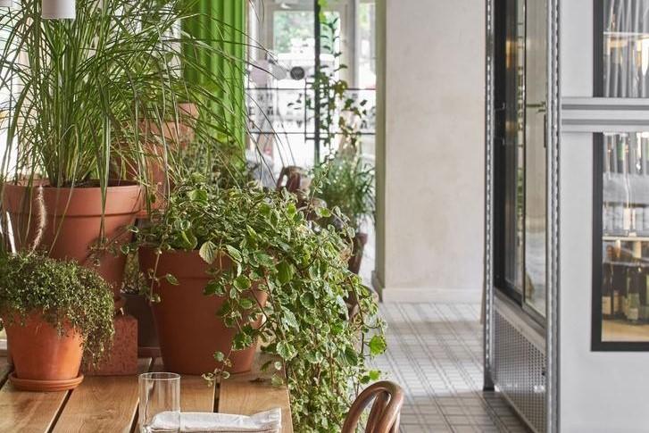 Закрутки, устрицы, шампань | Animals | ул. Некрасова, 60