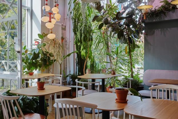 Зимние обновления