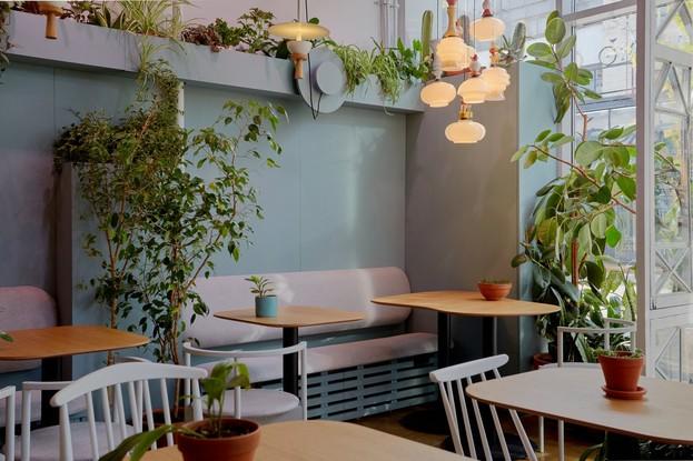 Зимние обновления