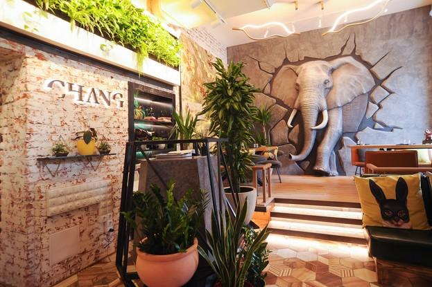 Начало летнего сезона | Chang | пр-т Московский, 186