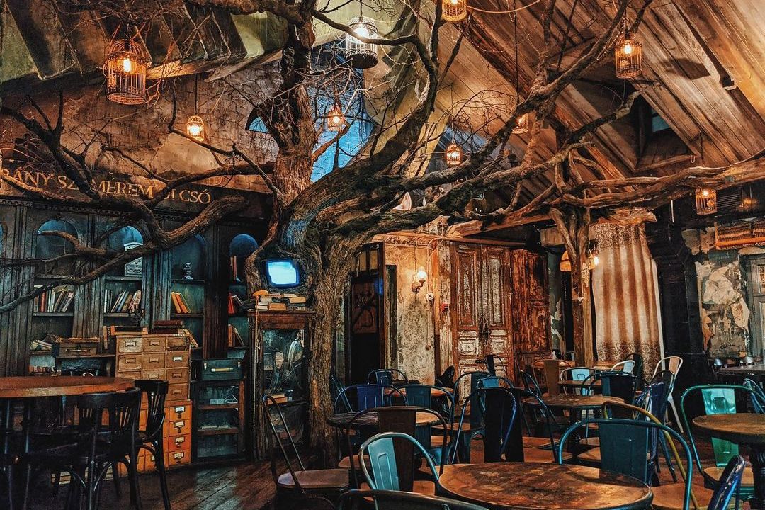 Интерьер паб Дом, в котором