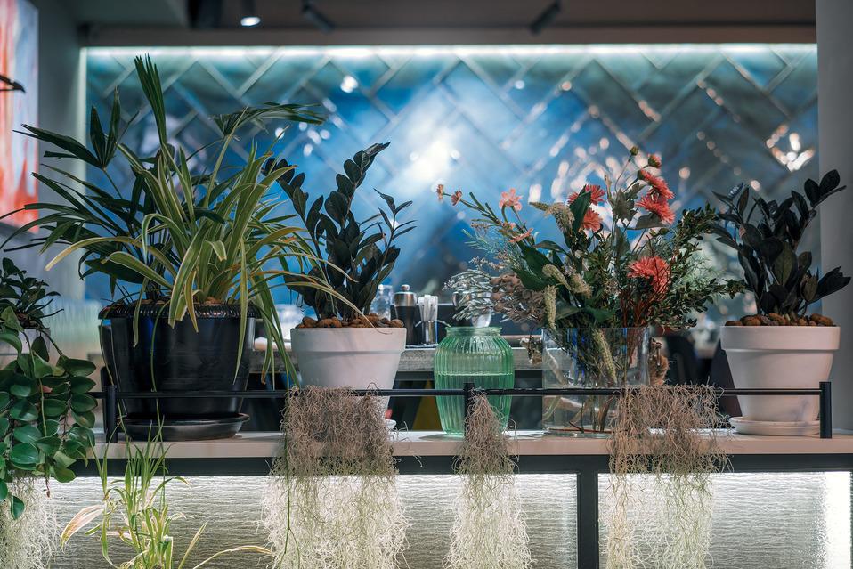 Интерьер ресторан Тенили