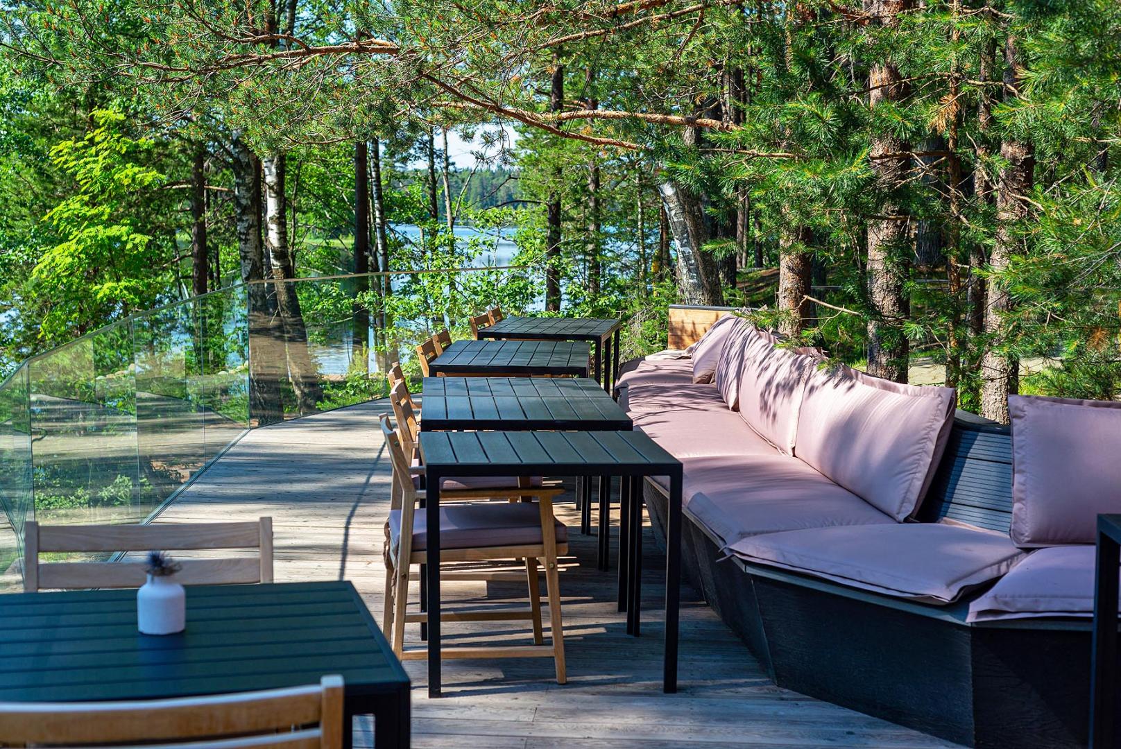 Грибная охота | Hvoy | Юкковское сельское поселение, Медное озеро, 