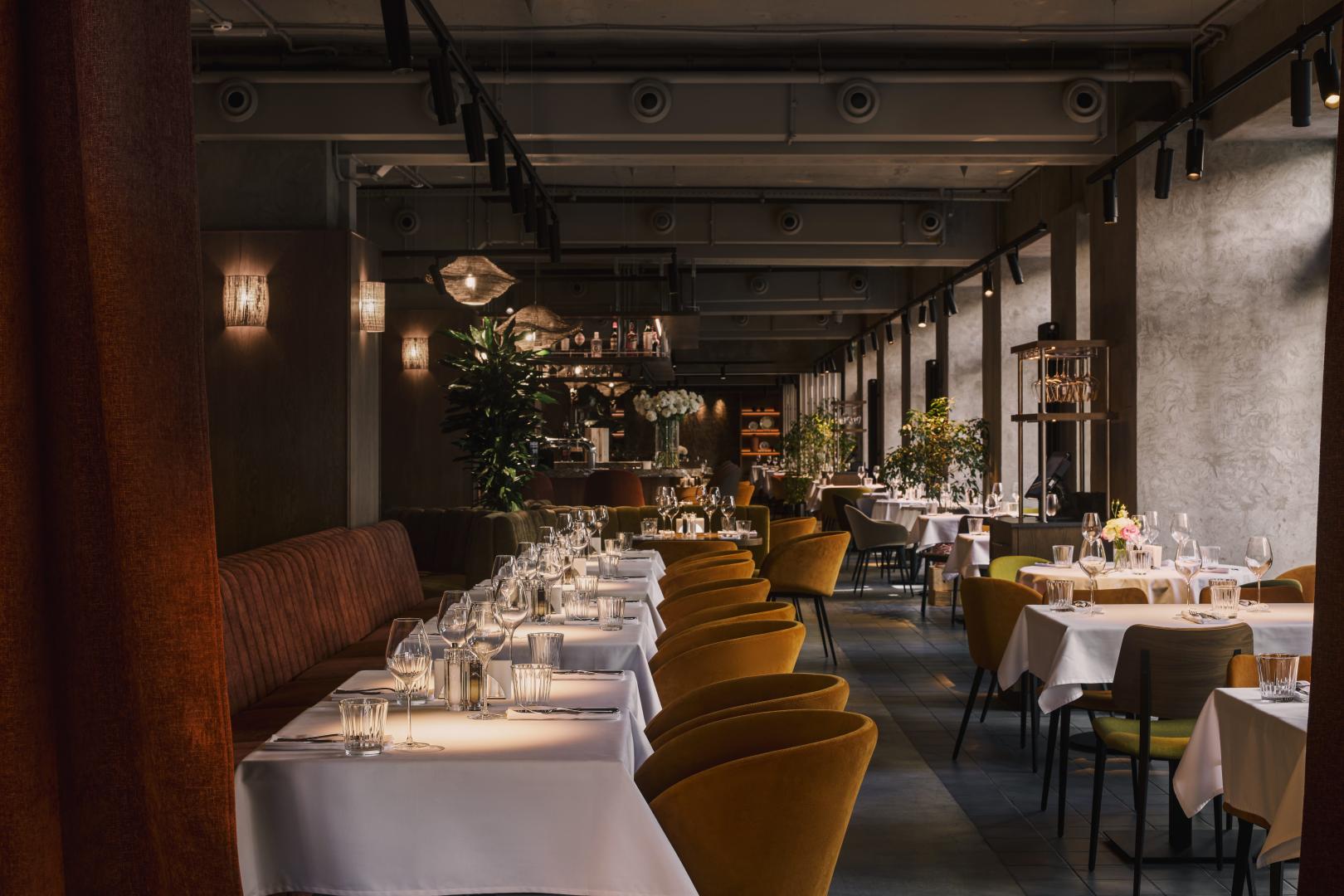 Ужин с шампанским из Шампани | Kira | ул. Кирочная, 67с2