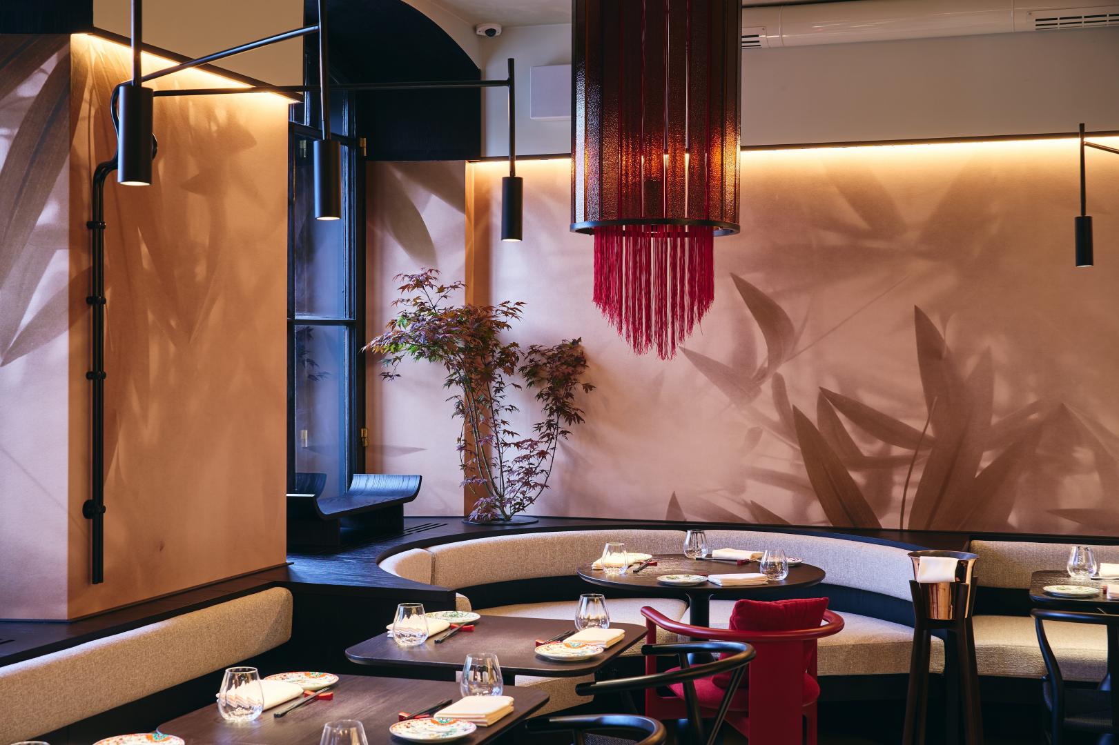 Дегустационный ужин с вином в Lotus Bistro | Lotus | наб. реки Фонтанки, 14