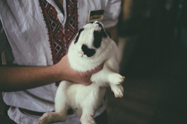 Сборные корпоративы