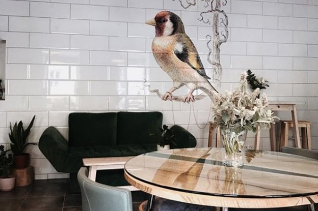 кофейня щегол. щегол кофейня спб. кофейня щегол меню. щегол питер кафе. щегол кафе спб.