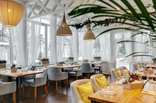 Птички и ягоды