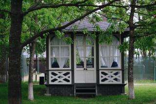 Птички и ягоды