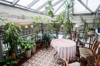 Панорамика