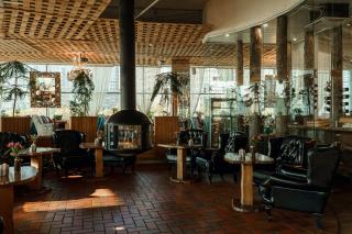 Гуси-лебеди