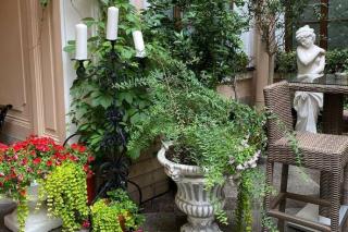 Штакеншнейдер