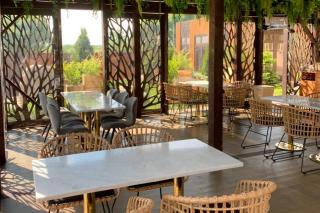 Дюжина устриц и бутылка вина по специальной цене