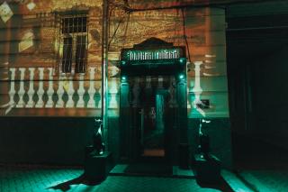 Зеленая собака