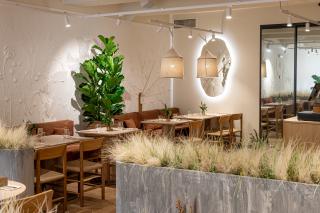 M2 Органик клуб Сокол