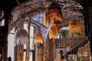 Слезы березы