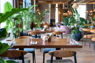 Vasilchuki Chaihona №1