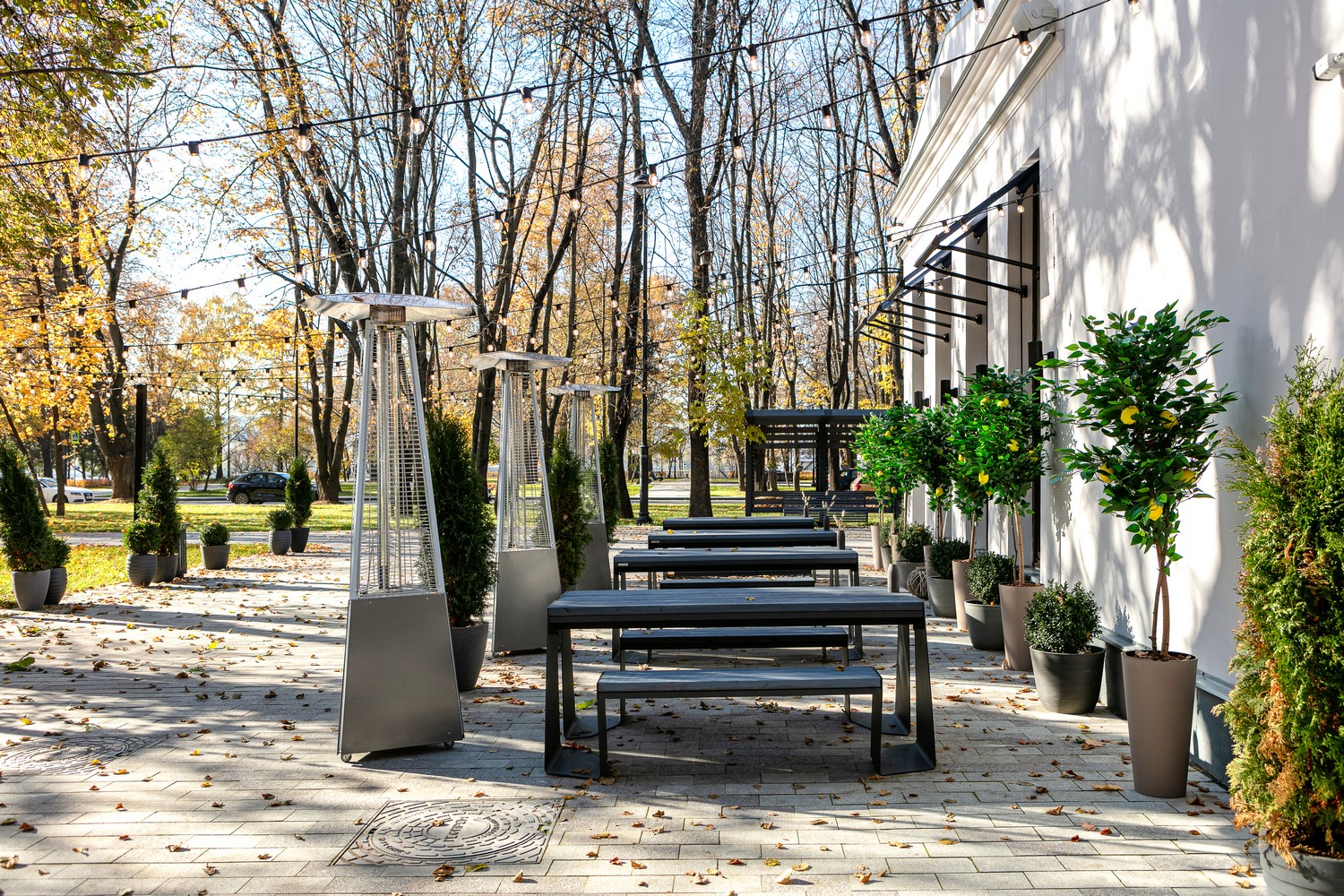 Signora ленинградское ш 51 стр 5 фото Ресторан Signora, Москва, Ленинградское ш. 51с5 - цены, меню, фото restorating.r