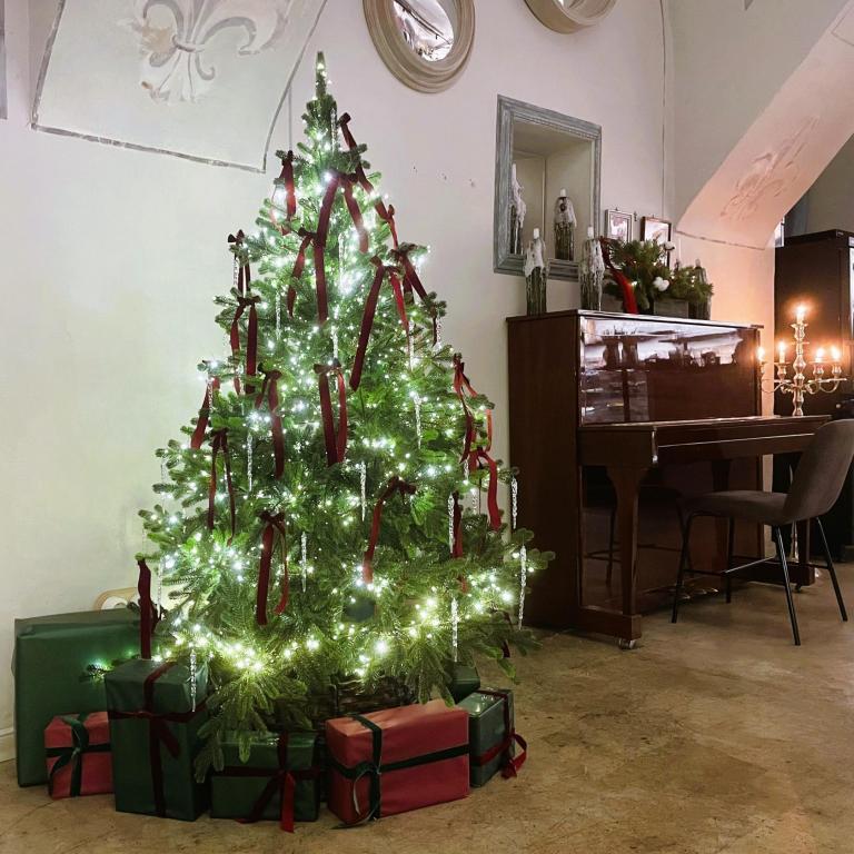 Музыкальный вечер со скрипкой