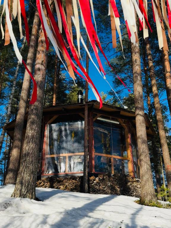 Специальное меню в панорамной беседке шефа