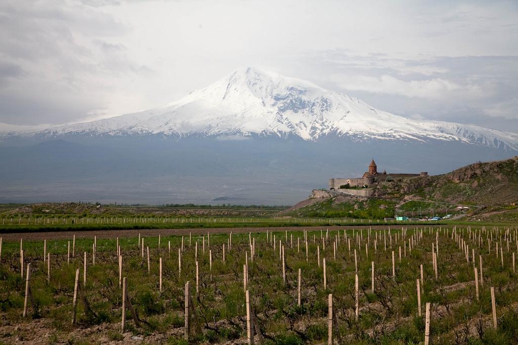 Ужин с винами Армении