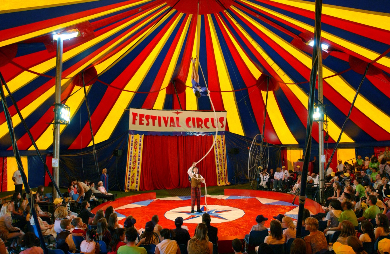 Рождественский цирк в Плюшкин