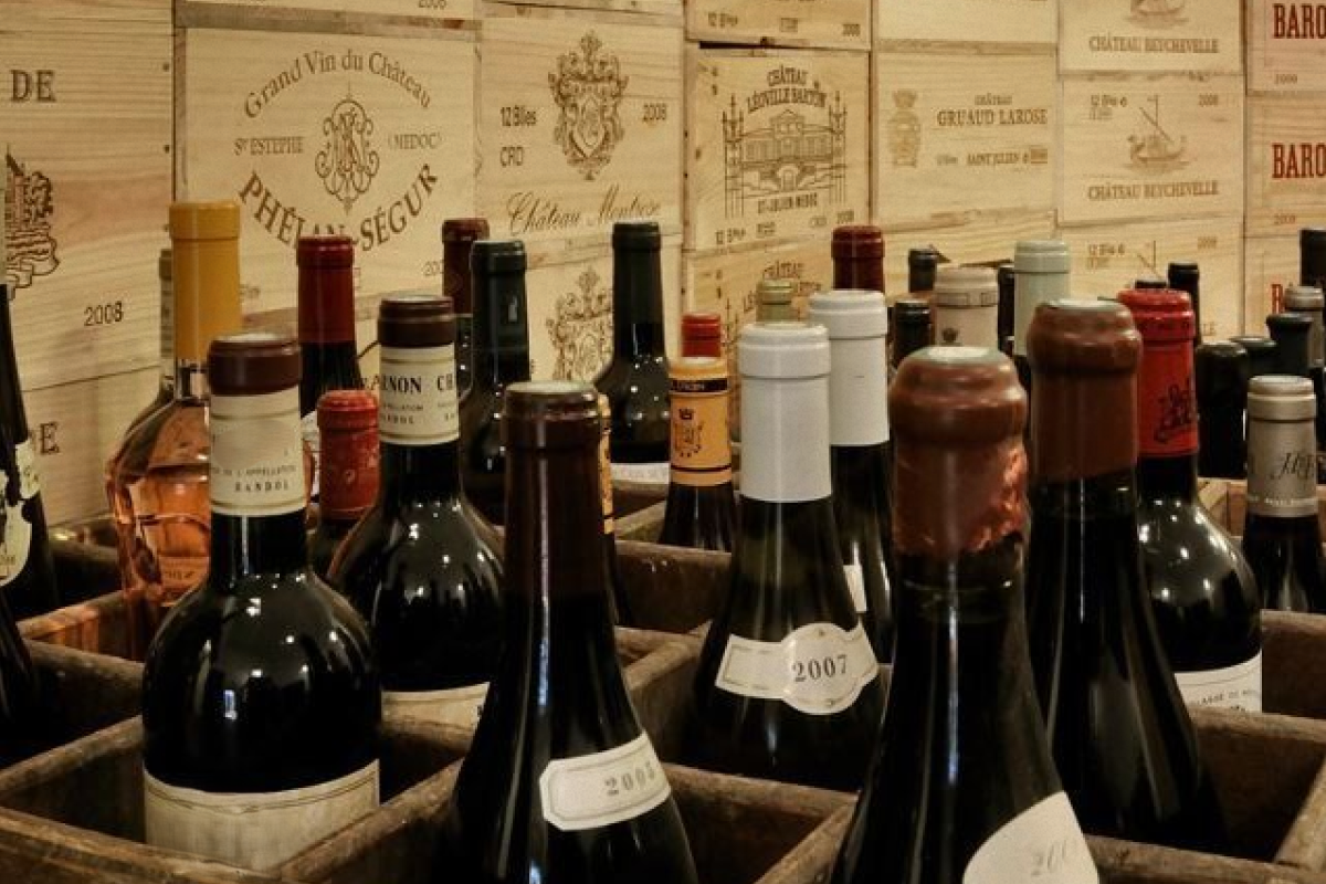 Афиша на ноябрь | Wine & Dine | наб. Петроградская, 8