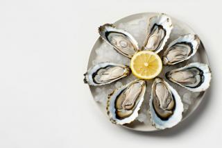 Устричные среды