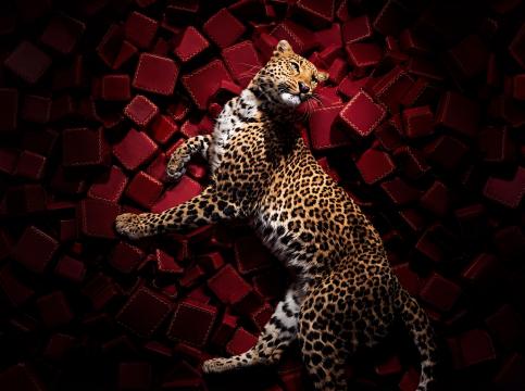 История Cartier